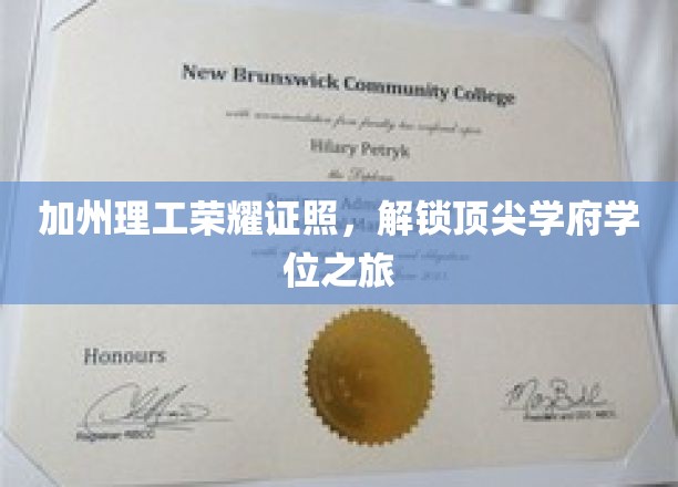 解码加州理工，揭秘学霸们的学位征服之路