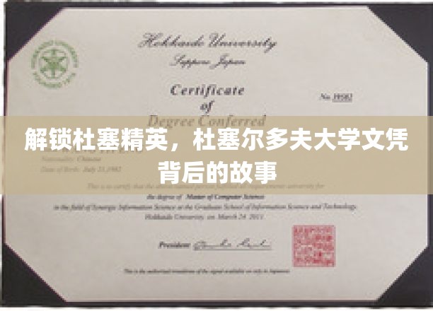探寻杜塞精英的秘密，杜大文凭背后的传奇之旅