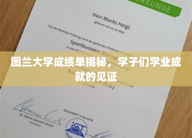 图兰大学成绩单揭秘，学子们学业成就的见证