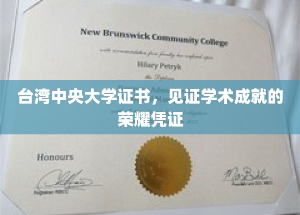 学术巅峰荣耀，中央大学证书彰显卓越成就
