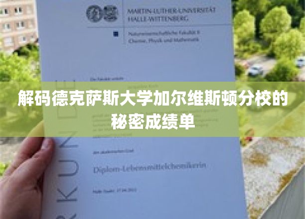 探寻德克萨斯大学加尔维斯顿分校不为人知的学术成就