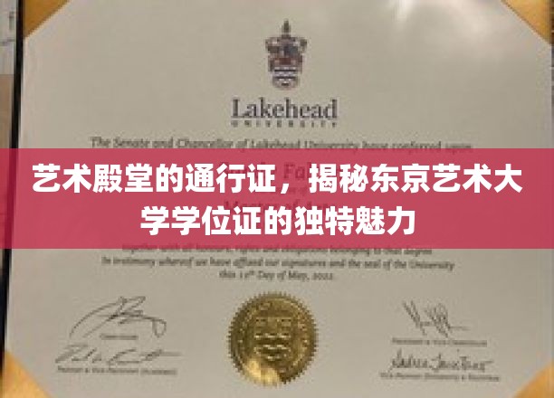 东京艺术大学学位证，艺术界尊贵身份的象征与密码