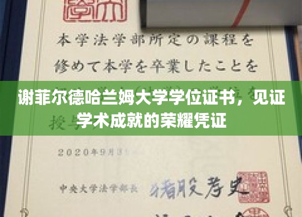 谢菲尔德哈兰姆大学学位证书，见证学术成就的荣耀凭证