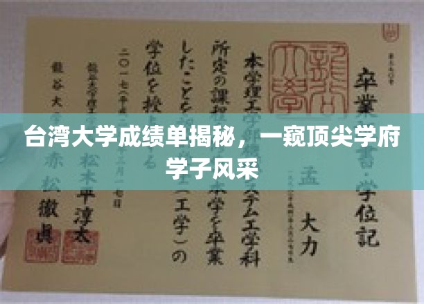 台湾大学成绩单大揭秘：一窥顶尖学府学子风采