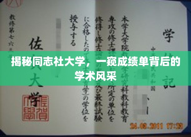 探索同志社大学，揭开学术成就背后的独特魅力