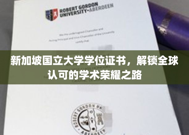 跨国荣耀通行证，新加坡国立大学学位，开启全球学术精英之旅