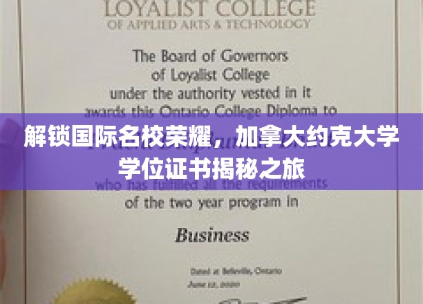 揭开加拿大约克大学学位证书的神秘面纱，探索国际名校的荣耀之旅