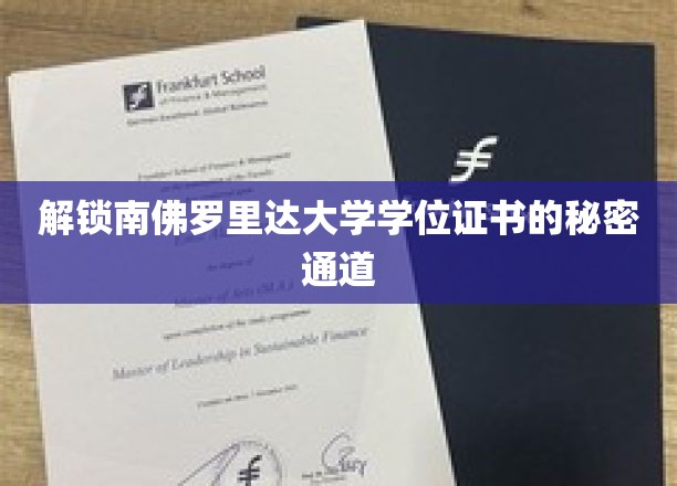 探寻南佛罗里达大学学位奥秘的隐藏路径