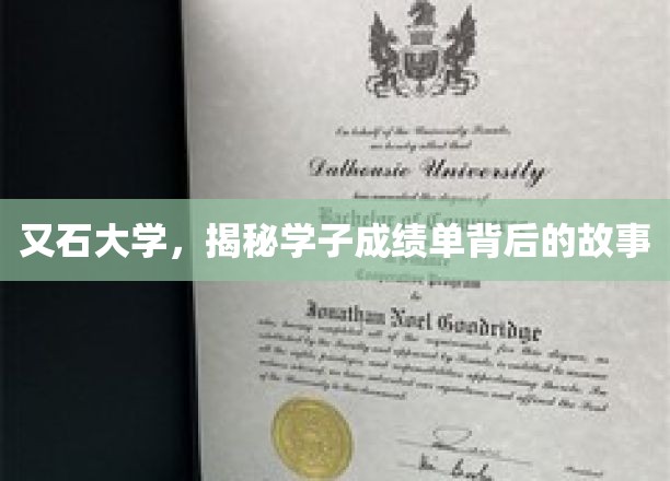 解码又石大学学子成绩单背后的成长足迹