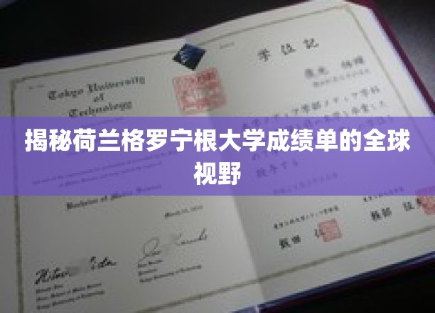 全球视角下的格罗宁根大学成绩单，揭秘学术交流的跨国轨迹