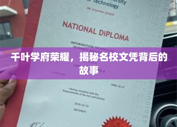 千叶学府之光，探寻名校文凭背后的传奇历程