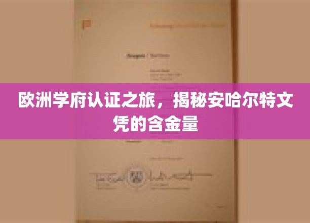 欧洲学术之旅，探索安哈尔特大学文凭的全球认可价值