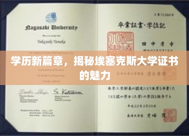 学历新篇章，揭秘埃塞克斯大学证书的魅力