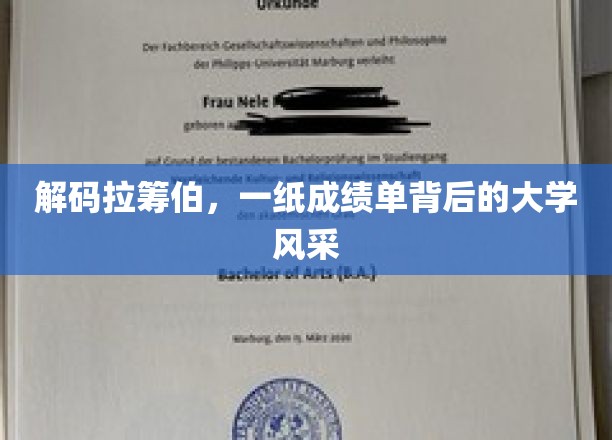 探寻拉筹伯大学，成绩单之外的教育魅力