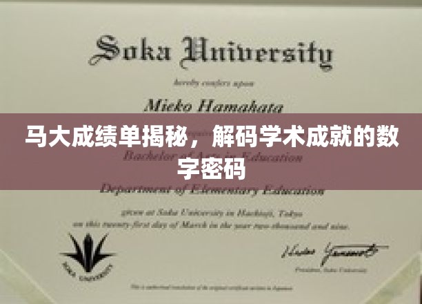 马大成绩单揭秘，解锁学术成就的密码