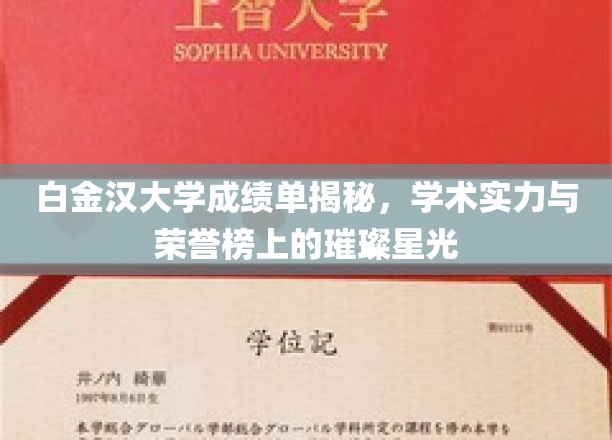 白金汉大学荣耀榜，揭秘学术璀璨背后的实力与荣誉
