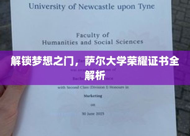 萨尔大学证书揭秘，揭秘荣耀背后的学术奥秘