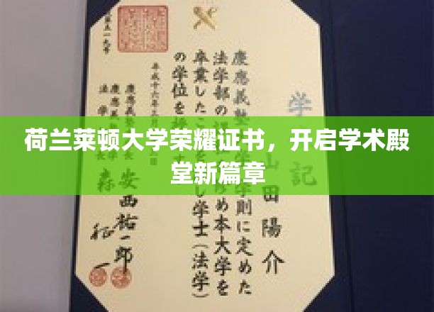 莱顿荣耀，荷兰名校证书铸就学术新里程