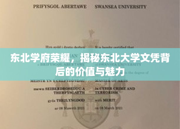 东北名校光环，东北大学文凭的独到魅力与深远价值