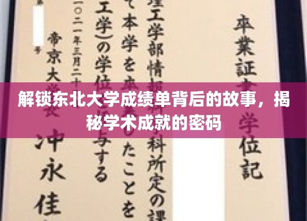 东北大学成绩单里的秘密，解码学子辉煌背后的努力与智慧