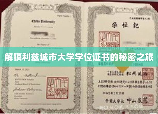 揭秘利兹城市大学学位证书的精彩旅程