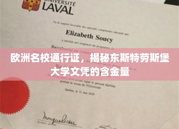欧洲名校通行证，揭秘东斯特劳斯堡大学文凭的含金量