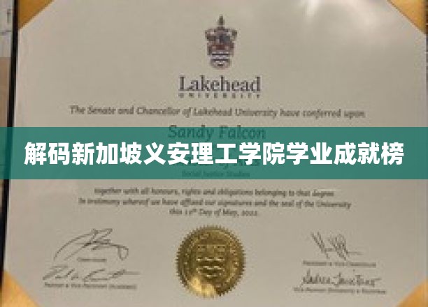 新加坡义安理工学院学霸风云录，揭秘学霸背后的故事