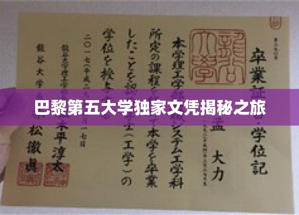 探寻巴黎第五大学背后的荣耀文凭传奇