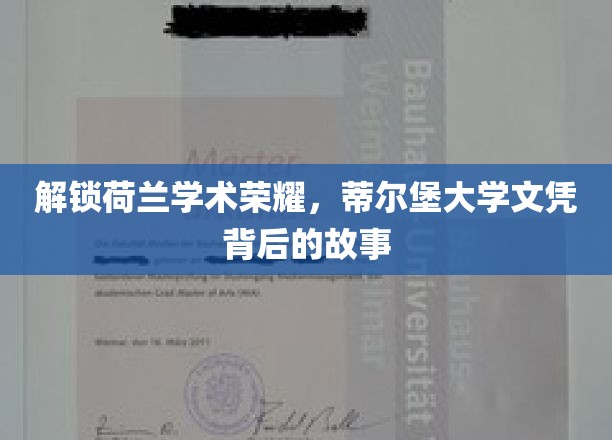揭秘蒂尔堡大学，荷兰学术明珠的文凭传奇之旅