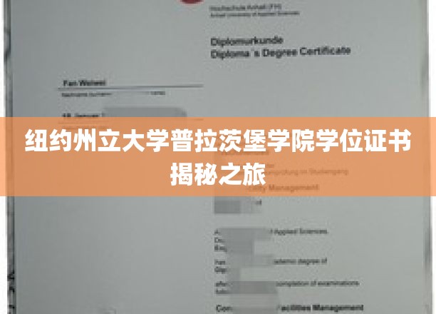 探索纽约州立大学普拉茨堡学院学位证书背后的奥秘之旅