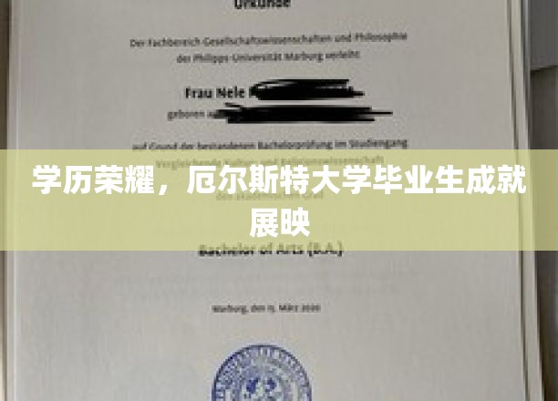 荣耀足迹，厄尔斯特大学精英风采大揭秘