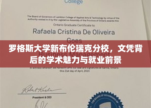 解码罗格斯新布伦瑞克，文凭之光下的学术魅力与职场未来