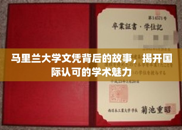 探寻马里兰大学文凭背后的传奇，国际认可下的学术风采