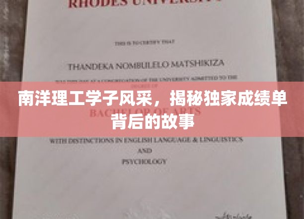解码南洋英才，揭秘南洋理工学子成绩单背后的非凡旅程