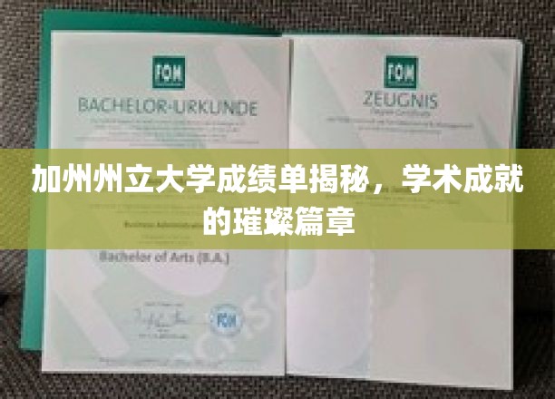 探寻加州州立大学学子辉煌成绩背后的秘密宝藏