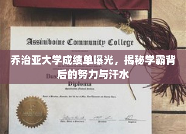乔治亚大学成绩单曝光，揭秘学霸背后的努力与汗水