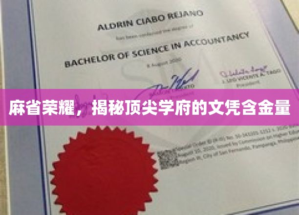 MIT光环背后，探究世界顶尖大学的学位价值