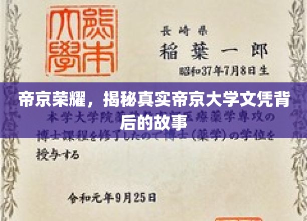 帝京荣耀：揭秘帝京大学文凭背后的真实故事