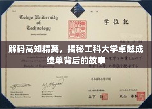 破译精英智慧，揭秘工科大学卓越学子背后的奋斗传奇