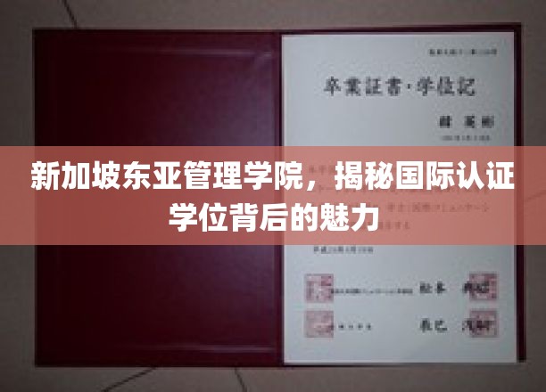 新加坡东亚管理学院，国际认证学位背后的非凡吸引力