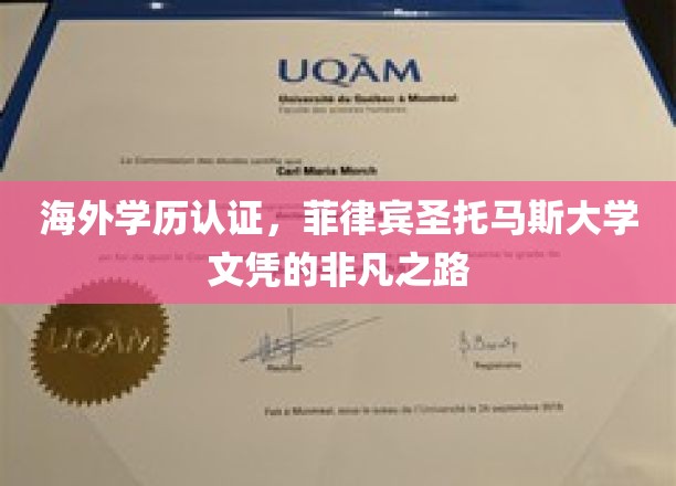 跨越国界，菲律宾圣托马斯大学学历认证的非凡旅程
