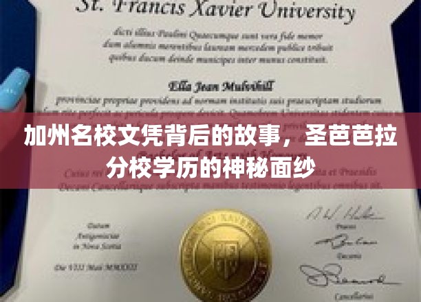 加州名校文凭背后的故事，圣芭芭拉分校学历的神秘面纱