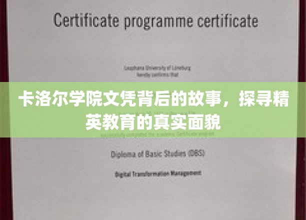 解码卡洛尔学院，揭开精英教育背后的神秘面纱