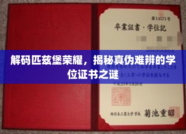 探寻匹兹堡荣耀背后的真假学历迷局