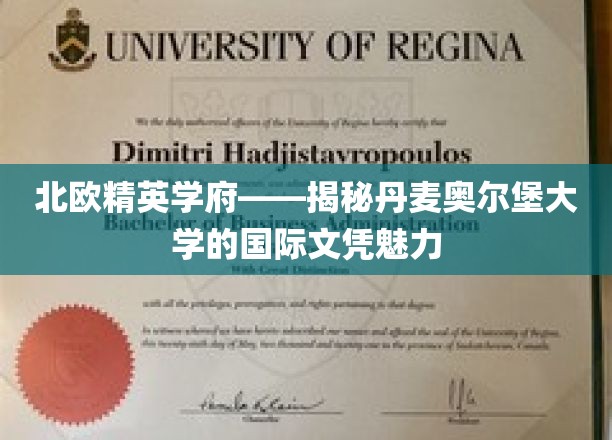 探寻丹麦奥尔堡大学的全球视野，北欧精英学府的国际文凭风采