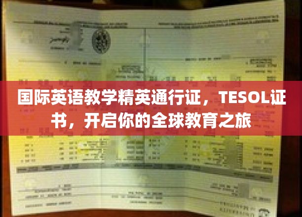 掌握TESOL证书，解锁国际英语教育新篇章，全球教育之旅启程！