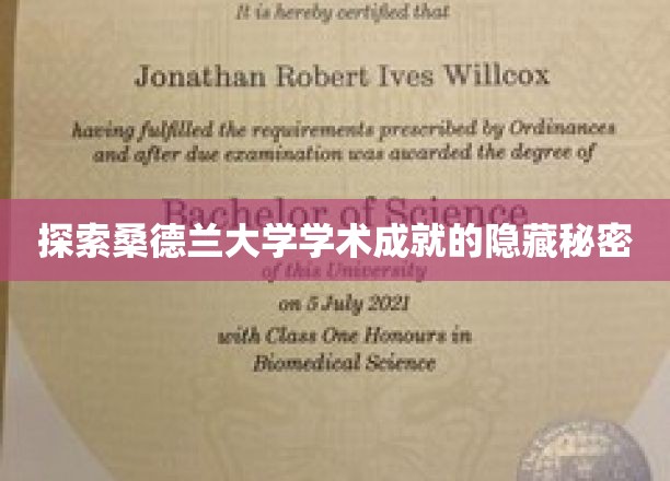 揭开桑德兰大学学术巅峰的神秘面纱