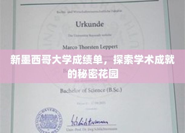 新墨西哥大学成绩单，探索学术成就的秘密花园