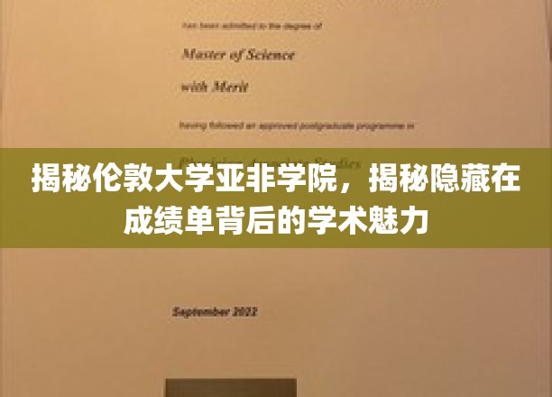 伦敦大学亚非学院，探寻成绩单背后的学术风采与传奇故事