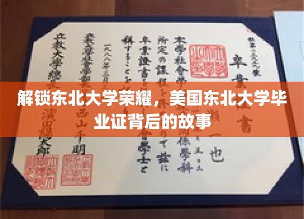 解锁东北大学荣耀，美国东北大学毕业证背后的故事